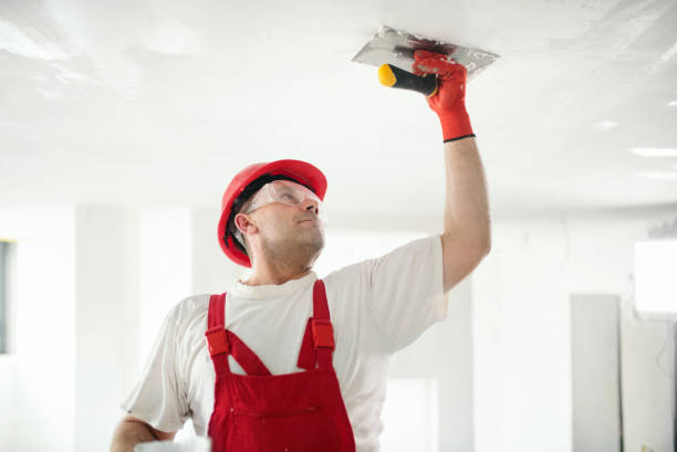 Best Mold Odor Removal Services  in Tumter, WA