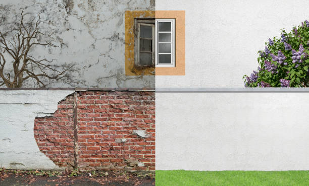  Tumter, WA Mold Removal Pros