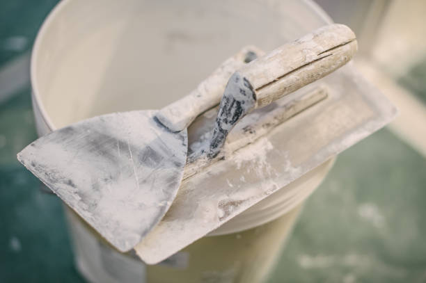 Mold Documentation for Insurance Claims in Tumwater, WA